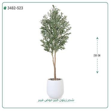 صورة مصغرة 2