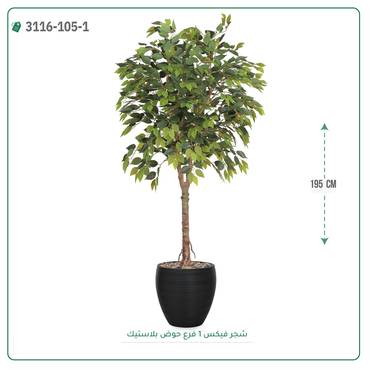 صورة مصغرة 5