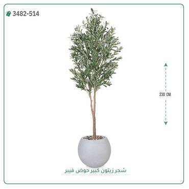 صورة مصغرة 7