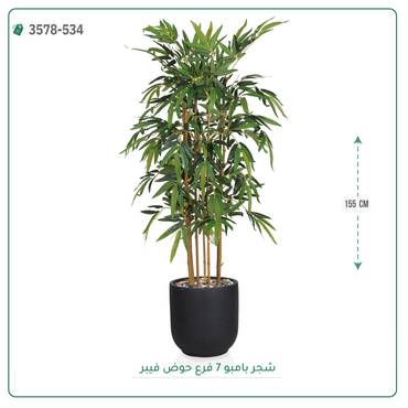 صورة مصغرة 3