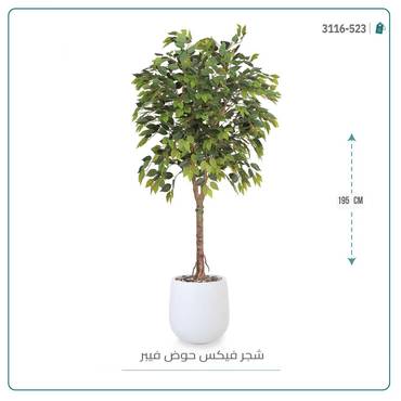 صورة مصغرة 5