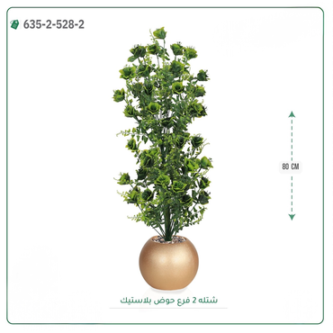 صورة مصغرة 6