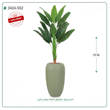 صورة مصغرة 4