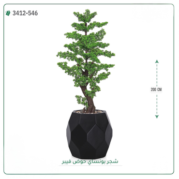 صورة مصغرة 5