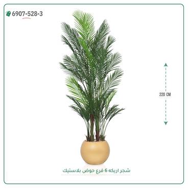صورة مصغرة 8