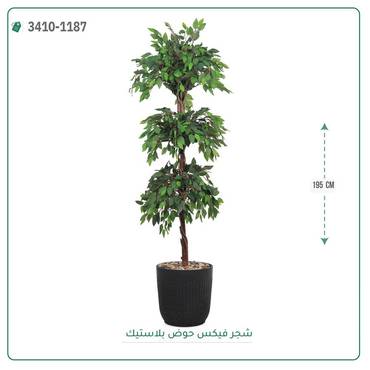 صورة مصغرة 1