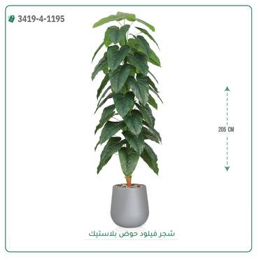 صورة مصغرة 3