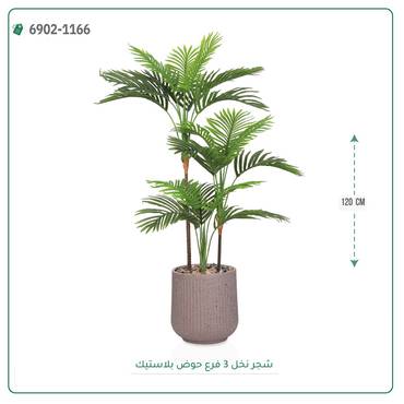 صورة مصغرة 5
