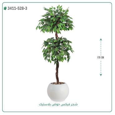 صورة مصغرة 4