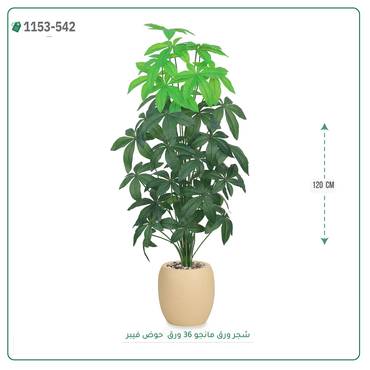 صورة مصغرة 7