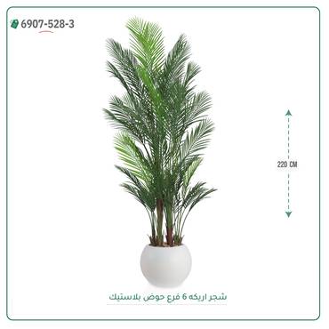 صورة مصغرة 11