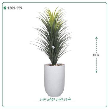 صورة مصغرة 2