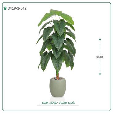 صورة مصغرة 1