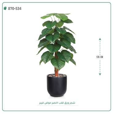 صورة مصغرة 2