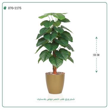 صورة مصغرة 4