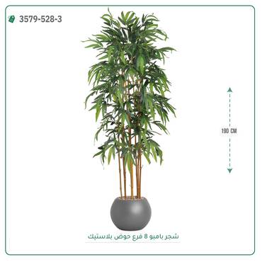 صورة مصغرة 7