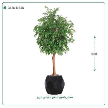 صورة مصغرة 15