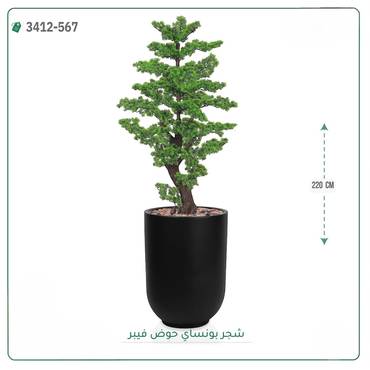 صورة مصغرة 3