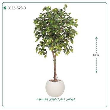 صورة مصغرة 7