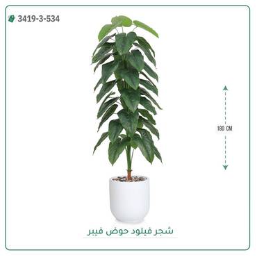 صورة مصغرة 1