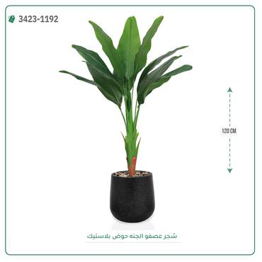صورة مصغرة 5