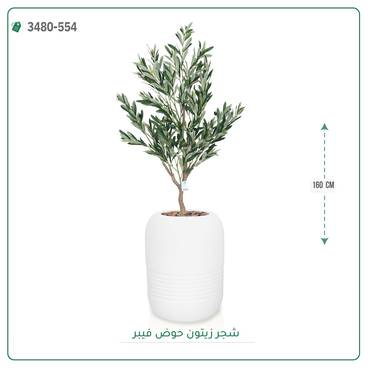 صورة مصغرة 6
