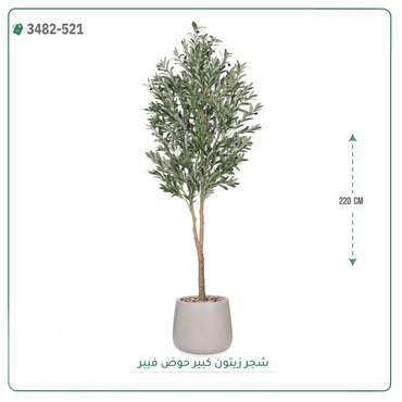 صورة مصغرة 7