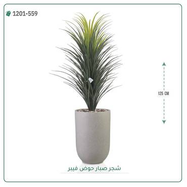 صورة مصغرة 1