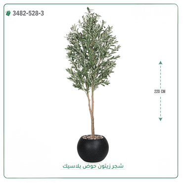 صورة مصغرة 10