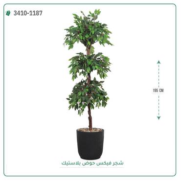 صورة مصغرة 4