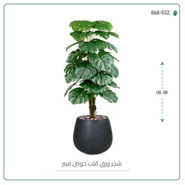 صورة مصغرة 6
