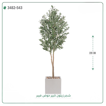 صورة مصغرة 1