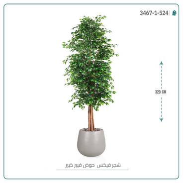 صورة مصغرة 5