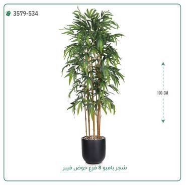 صورة مصغرة 5
