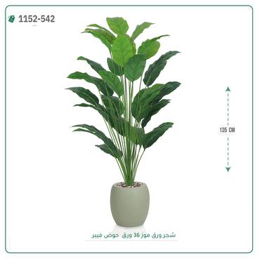 صورة مصغرة 4