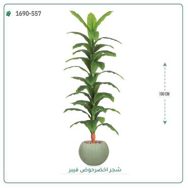صورة مصغرة 6