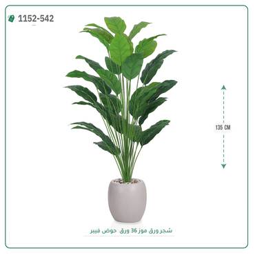 صورة مصغرة 3