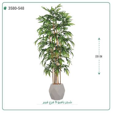 صورة مصغرة 4
