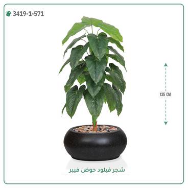 صورة مصغرة 2