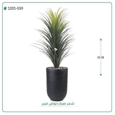صورة مصغرة 5