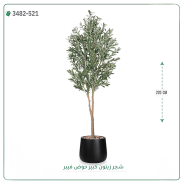 صورة مصغرة 3