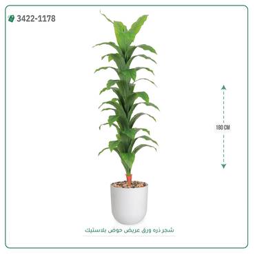 صورة مصغرة 3