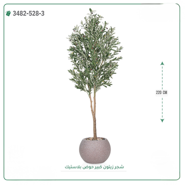 صورة مصغرة 5