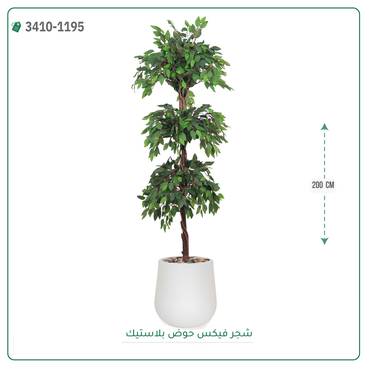 صورة مصغرة 3
