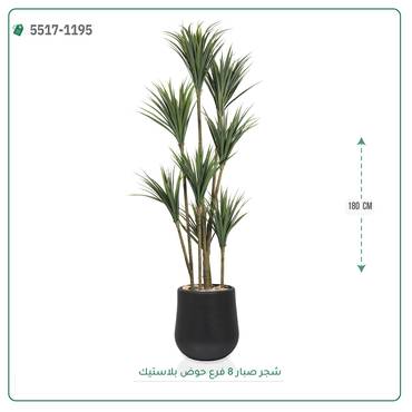صورة مصغرة 4