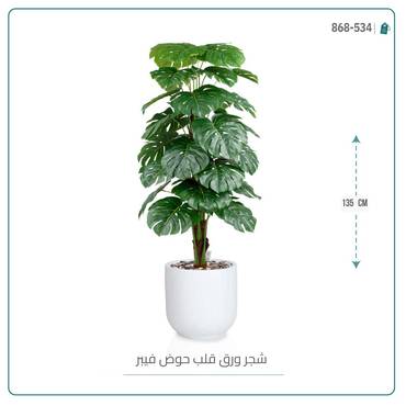 صورة مصغرة 6