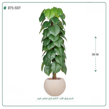 صورة مصغرة 1