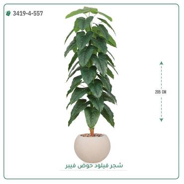 صورة مصغرة 1
