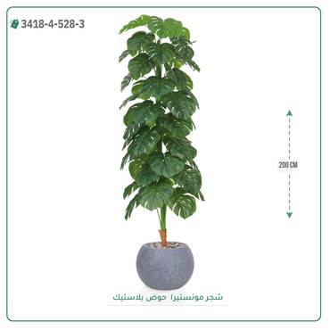 صورة مصغرة 5