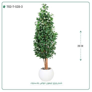 صورة مصغرة 2
